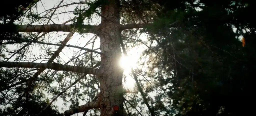 Telem Master.00_03_41_16.Still015